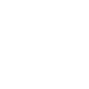 틈새