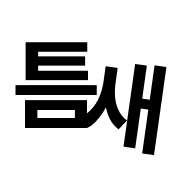 틈새